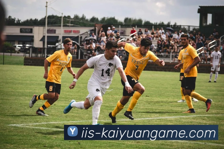 开元棋牌平台生态图